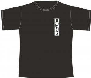 Футболка Taekwondo humility Black